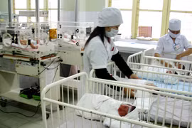 Bi hài chuyện “săn”... rắn