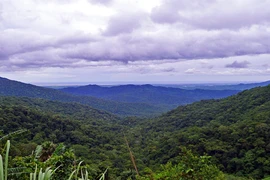 Lên đỉnh U Bò nhìn xuyên đất nước