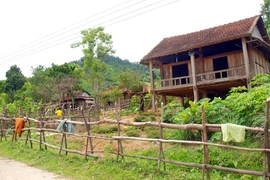 Ám ảnh nguy cơ tuyệt chủng