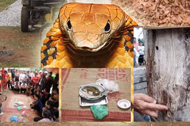 Báo động tình trạng lạm dụng văn hóa tâm linh