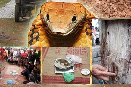 Báo động tình trạng lạm dụng văn hóa tâm linh