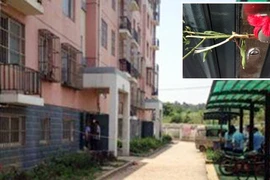 Sự nhẫn tâm và vô cảm rợn người