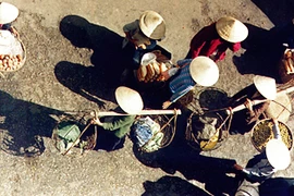 Việt Nam dự Tháng nhiếp ảnh quốc tế tại Nhật Bản