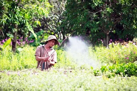 “Theo dấu người tình”