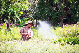 “Theo dấu người tình”