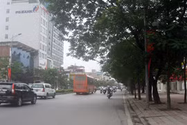 Thêm nhiều tuyến phố xanh