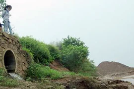 Tội phạm môi trường cần bị xử lý hình sự 