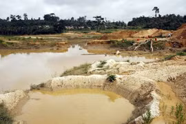 Bạc mặt đi tìm vàng