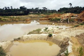 Bạc mặt đi tìm vàng