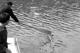 Vợ mê cờ bạc, bị chồng chặt xác phi tang