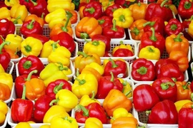 Thực phẩm bảo vệ da khỏi nắng trời