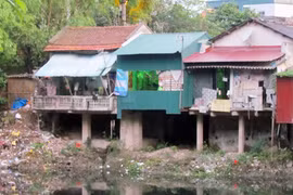 Đê sông Nhuệ đang bị "gặm nhấm"