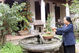 “Chị nuôi” ở “làng Holywood Việt Nam”