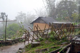 Lào Cai liên tiếp có mưa đá