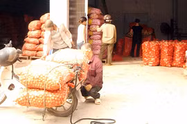 Nông sản Trung Quốc tập kết ở Bắc Ninh: Thua trên sân nhà