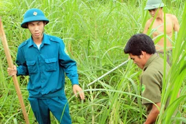 Kinh hoàng trước đàn chó lạ, nghi mắc bệnh dại