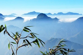 Mùa săn mây trên đỉnh Chênh Vênh