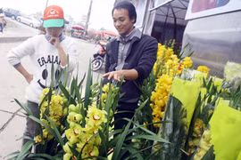 Thị trường quà tặng 8-3: Khuyến mãi để kéo sức mua