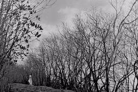 Mỗi tác phẩm là một bài thơ