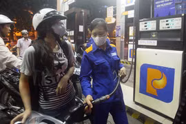 Nhiều doanh nghiệp lớn mắc sai phạm