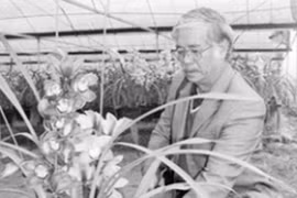 Mê hoa hơn mê…vợ