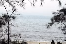 Thưởng ngoạn ở bãi biển nhiều kỷ lục