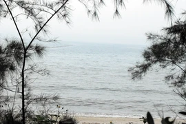 Thưởng ngoạn ở bãi biển nhiều kỷ lục