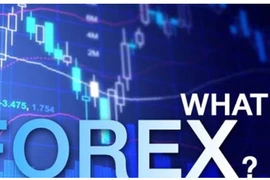 Rủi ro kinh doanh tiền thật trên mạng ảo