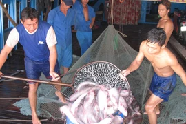 Doanh nghiệp, người nuôi cá “khát” tiền 