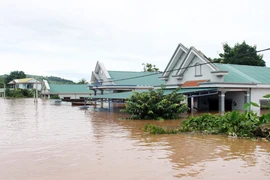 Bão số 8 gây thiệt hại lớn