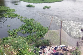 Ngôi làng vắng tiếng trẻ thơ