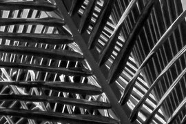 3 không gian nghệ thuật trong một triển lãm