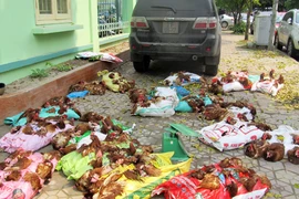 Còn bất đồng ý kiến về cúm gia cầm