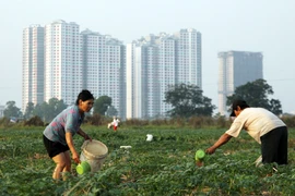 Nhà đầu tư hết cửa "ăn" đất