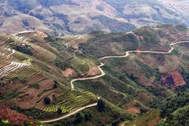 Du Già - Mậu Duệ: Thiên lý dặm trường