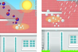 Mái nhà hút chất ô nhiễm