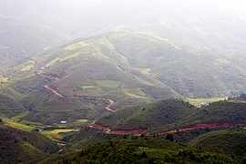 Khám phá rừng Chế Tạo