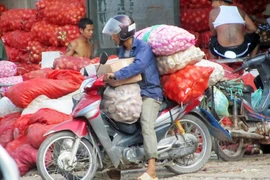 Nông sản Trung Quốc tập kết ở Bắc Ninh