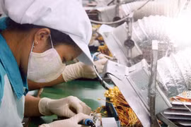 Túi Hermes “nhái” giá 6.800 Euro