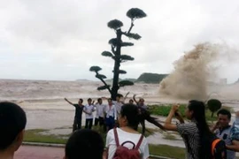 Mất mạng do hiếu kỳ... vớ vẩn!