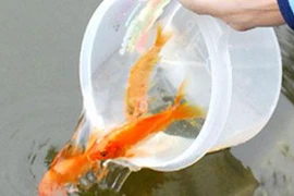 Lễ hội ông Công, ông Táo lần đầu tiên tại Hà Nội