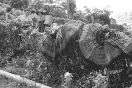 Khám phá Ma Ly Pho