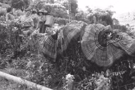 Khám phá Ma Ly Pho