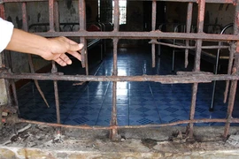 Trong thế giới người điên: Những éo le cuộc đời