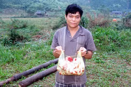 Khốn đốn vì buôn nấm với người Tàu