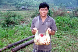 Khốn đốn vì buôn nấm với người Tàu