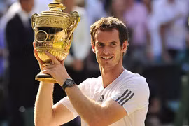 Murray được đề nghị phong tước Hiệp sĩ