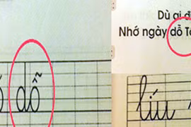  Trẻ hái nhầm “trái đắng”