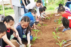 Đau đầu vì con sắp nghỉ hè