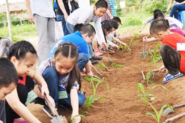 Đau đầu vì con sắp nghỉ hè